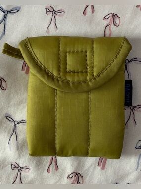 Baggu Pistachio earbud case